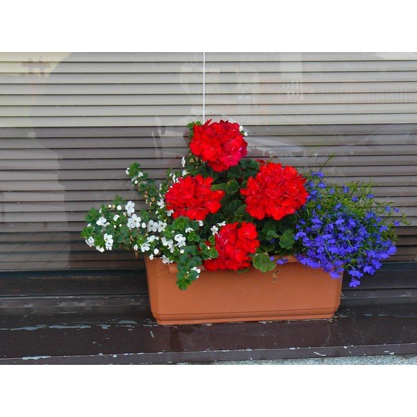 Rudas savaiminio laistymo vazonas Plastia Siesta, ilgis 60 cm-image-1