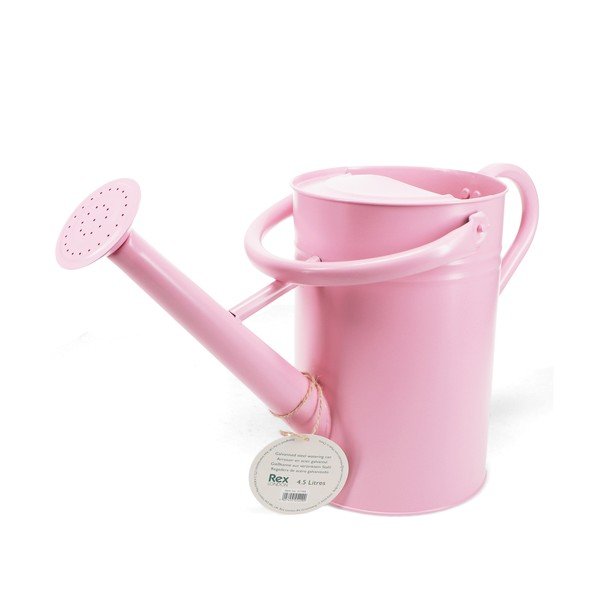 Iš metalo laistytuvas 4,5 l – Rex London-image-2