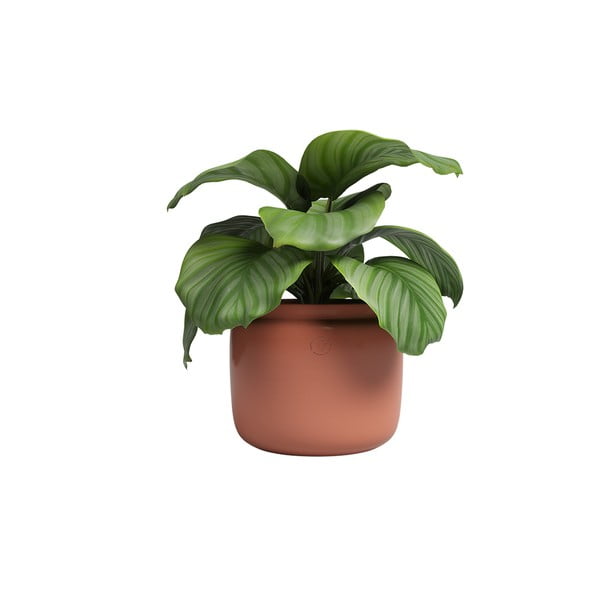 Rankų darbo vazonas iš keramikos ø 26 cm Astrea – Artevasi-image-4