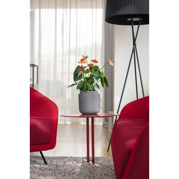 Pilkos spalvos savaiminio laistymo vazonas Plastia Tolita, ø 19 cm-image-2