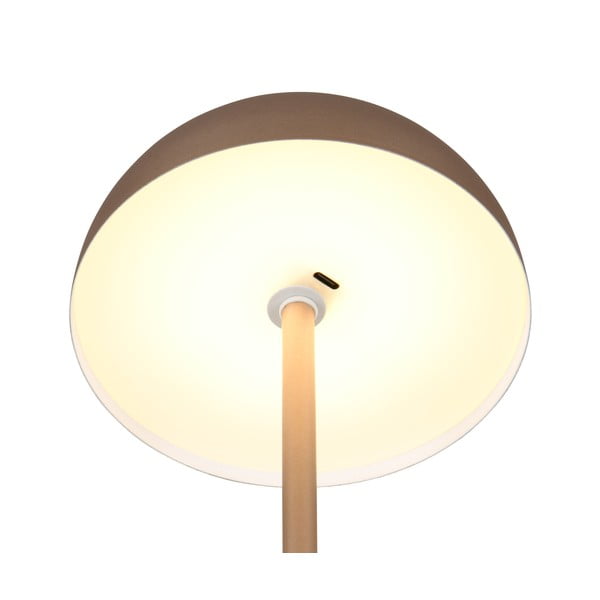 Bronzinės spalvos stalinis šviestuvas LED (aukštis 21 cm) su metaliniu gaubtu Munoz – Reality-image-4