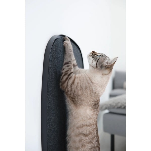 Draskyklė katei Pannello Black S – MiaCara-image-1