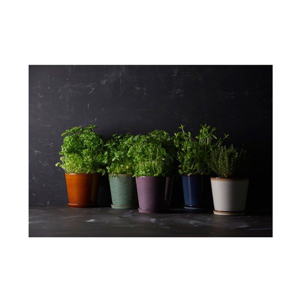 Iš molio gėlių vazono dangtelis ø 14 cm Gastro Green/Black – Bitz-image-2