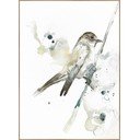 Paveikslas 30x40 cm Bird - Malerifabrikken