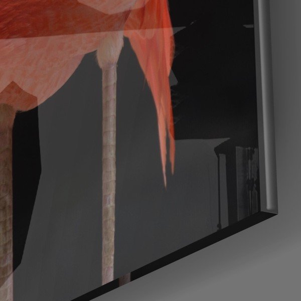Paveikslas ant stiklo Insigne Flamingo-image-3