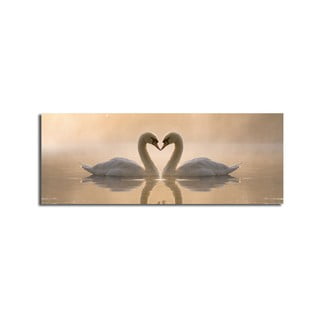 Paveikslas ant drobės Swan Love, 90 x 30 cm