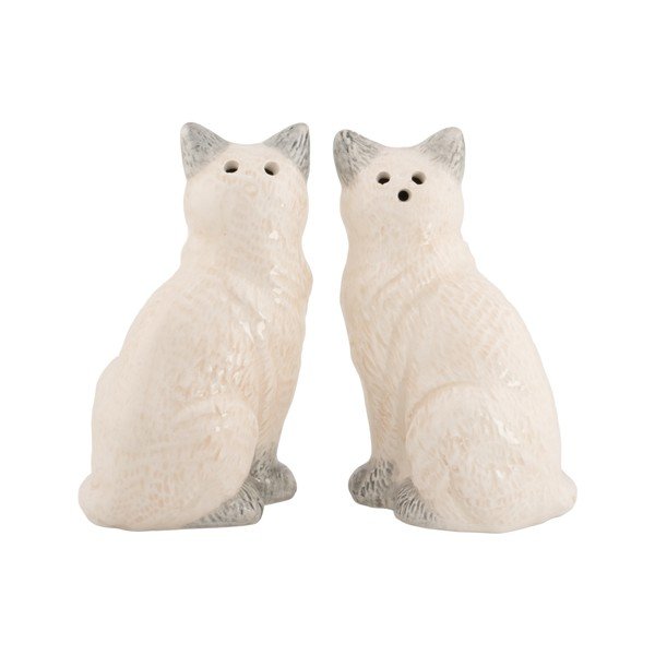 Druskinė ir pipirinė Ragdoll Cat – Sass & Belle-image-1