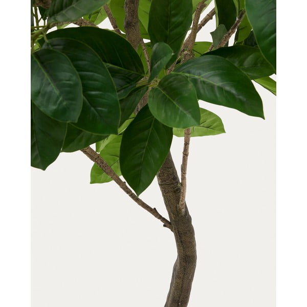 Dirbtinis fikusas (aukštis 210 cm) Ficus – Kave Home-image-2