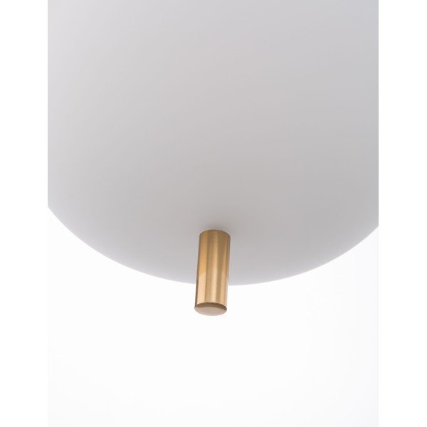 Baltos spalvos/žalvario spalvos iš stiklo kabantis šviestuvas ø 22 cm Lato – Nova Luce-image-4