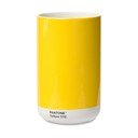 Geltona keraminė vaza - Pantone