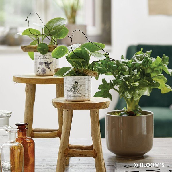 Rudas keraminis vazonas Big Pots Bari, ø 19 cm-image-1