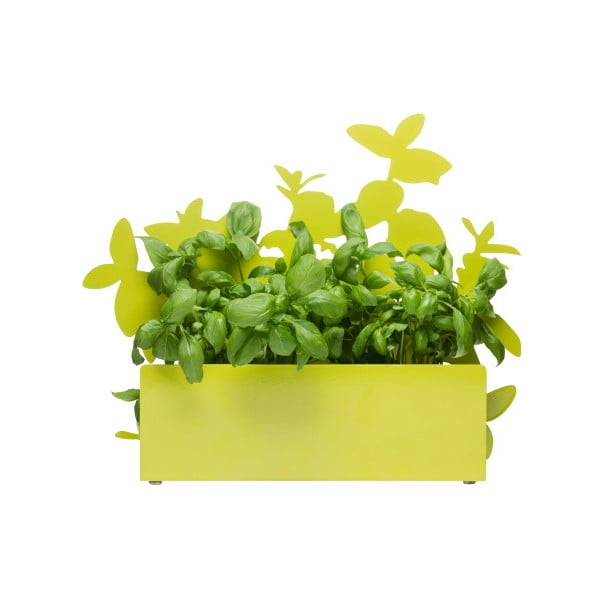 Žaliasis vaistažolių stovas "Sagaform Herb