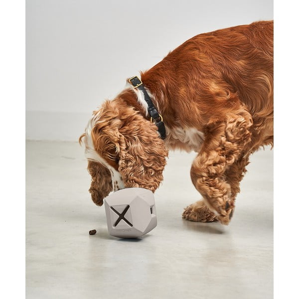 Žaislas šuniui Dado Greige – MiaCara-image-1