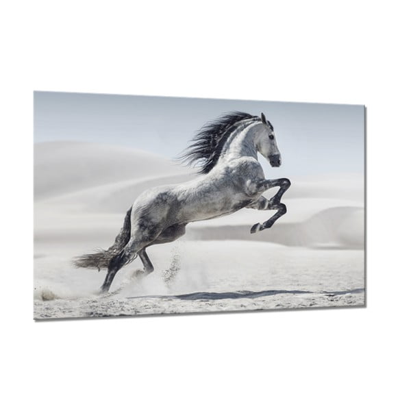Paveikslas Styler Glasspik Glasspik Animals Horse, 80 x 120 cm