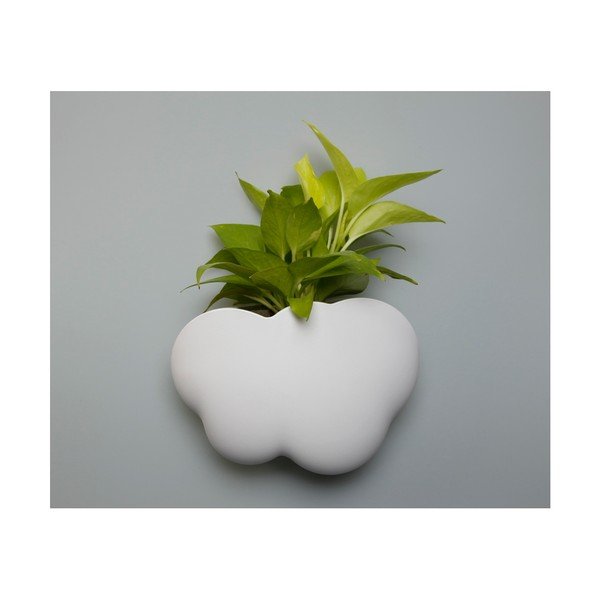"Qualy&CO Cloud" sieninis stovas-image-4