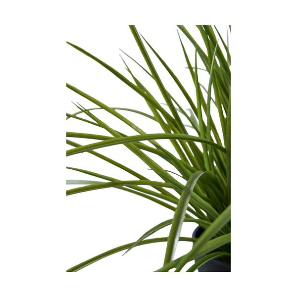 Dirbtinė žolė (aukštis 45 cm) – House Nordic-image-3