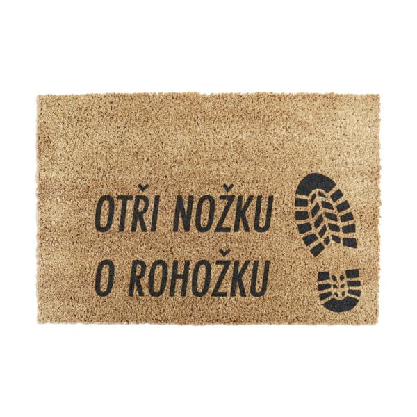Iš kokoso pluošto grindų kilimėlis 40x60 cm Boots – Artsy Doormats