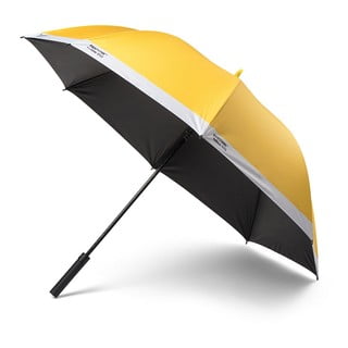 Geltonas skėtis Pantone
