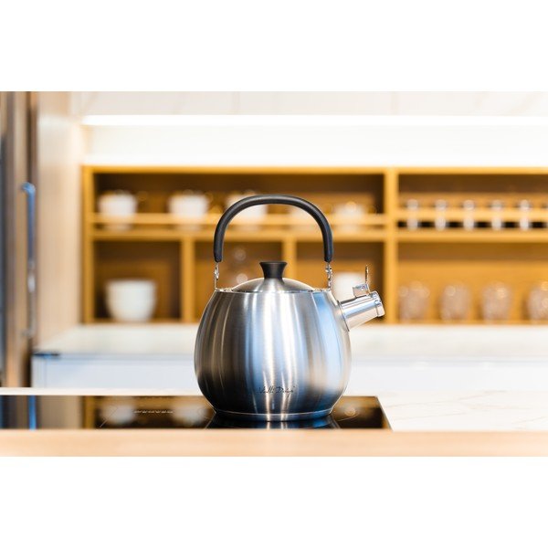 Sidabrinis nerūdijančio plieno arbatinukas Vialli Design Bolla, 2,5 l-image-1