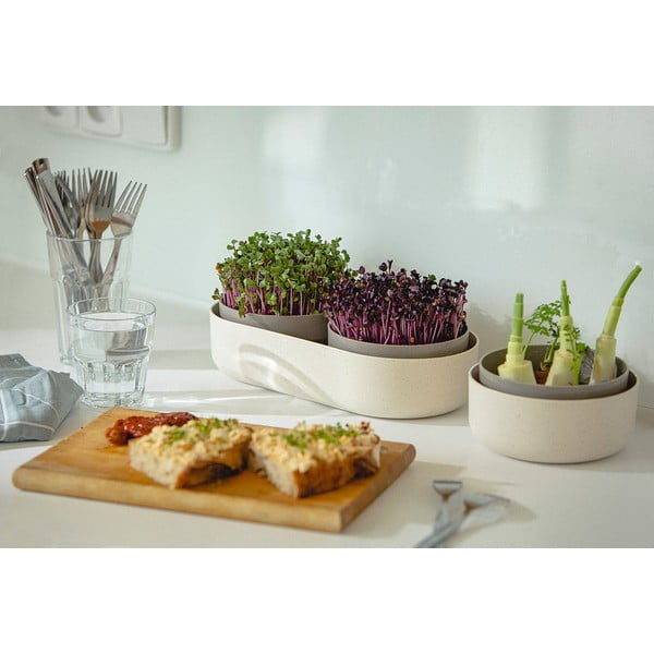 Daiginimo dubuo, ø 16 cm Regrow - Plastia-image-4