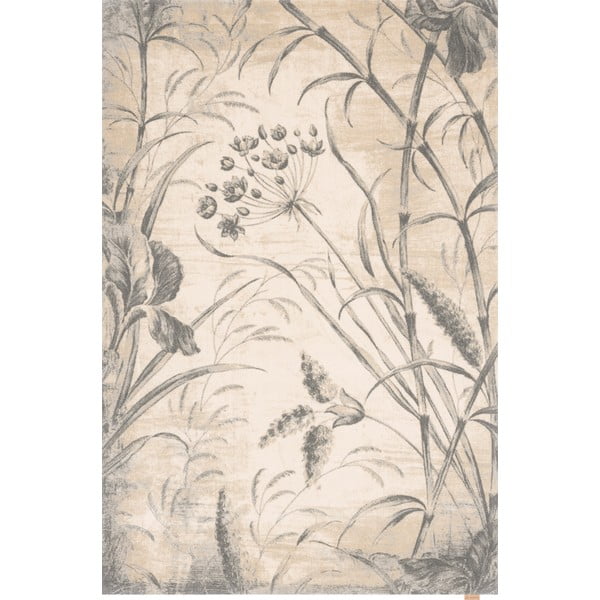 Kilimas iš vilnos kreminės spalvos 300x400 cm Botany – Agnella