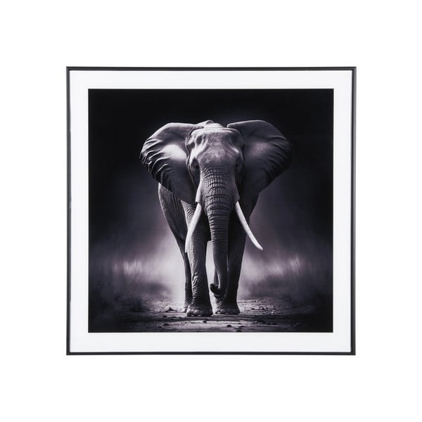 Paveikslas 50x50 cm  Elephant  – PT LIVING