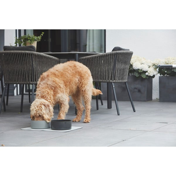 Iš porceliano augintinių dubuo šuniui ø 16 cm Scodella Graphite S/M – MiaCara-image-1
