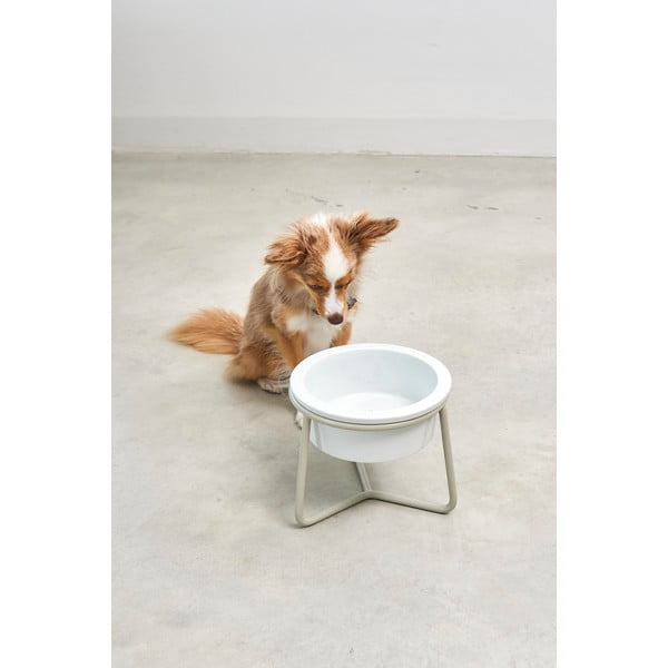 Iš porceliano dubuo su pagrindu šuniui ø 20 cm Pranzo Greige M – MiaCara-image-1