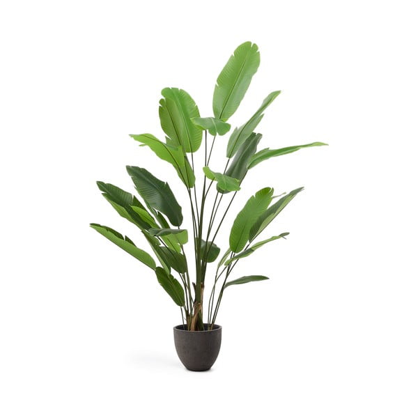 Dirbtinis bananmedis (aukštis 210 cm) – Kave Home