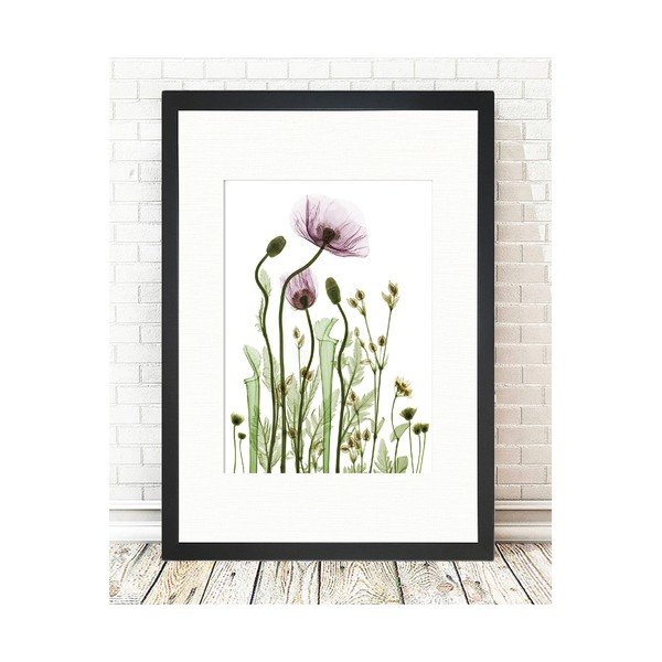 Paveikslas Tablo Center Wild Plants, 24 x 29 cm-image-1