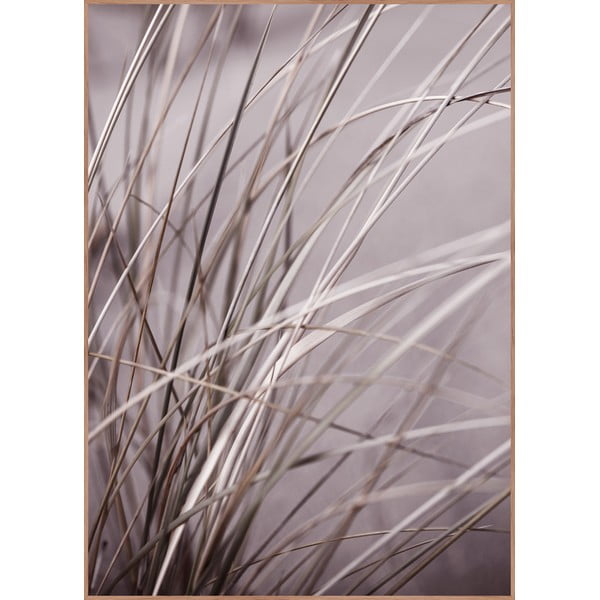 Paveikslas 50x70 cm Mellow Grasses 1 – Malerifabrikken