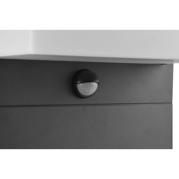 Lauko šviestuvas su judesio jutikliu (aukštis 8 cm) Nestos – Trio-image-3