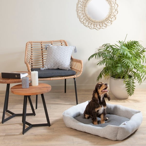 Šviesiai pilkos spalvos augintinio guolis šuniui 70x58 cm Graphene – Love Story-image-1