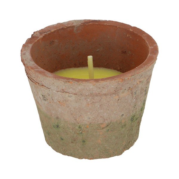 Aromatinė žvakė degimo laikas 10 h Citronelle – Esschert Design-image-3