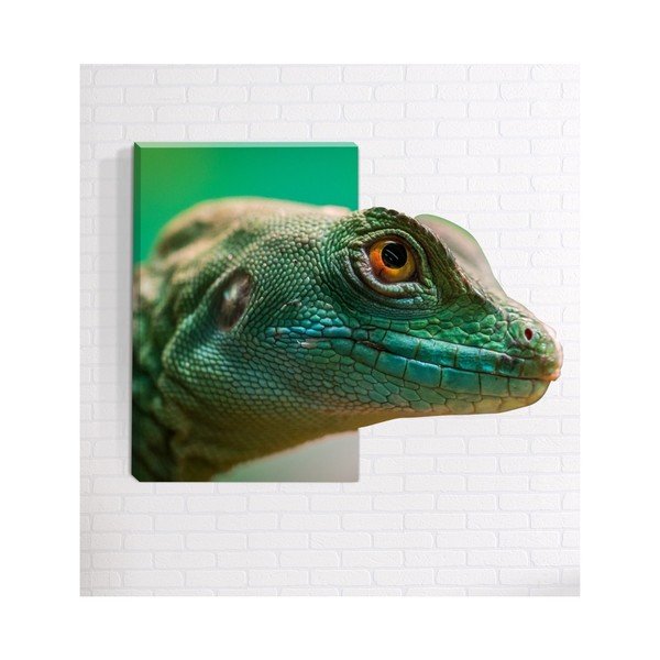 3D sienų tapyba "Mosticx Lizard", 40 x 60 cm