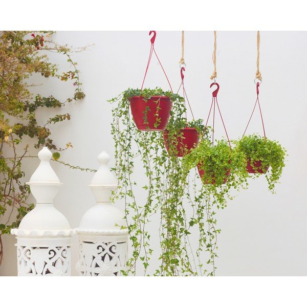 Iš plastiko vazonas ø 31 cm Algarve – Artevasi-image-2