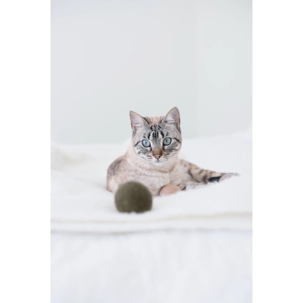 Žaislų rinkinys katėms 3 vnt. Globo Concrete – MiaCara-image-2