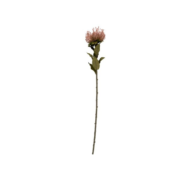 Dirbtinė gėlė (aukštis 73 cm) Protea – PT LIVING
