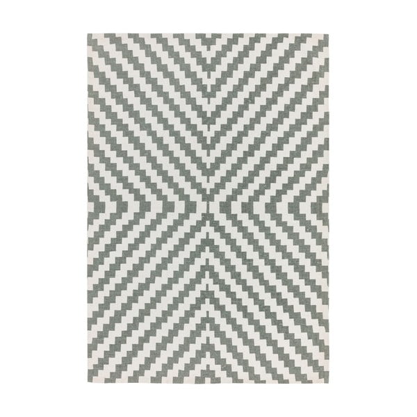 Pilkos ir baltos spalvos kilimas "Asiatic Carpets Geo", 160 x 230 cm
