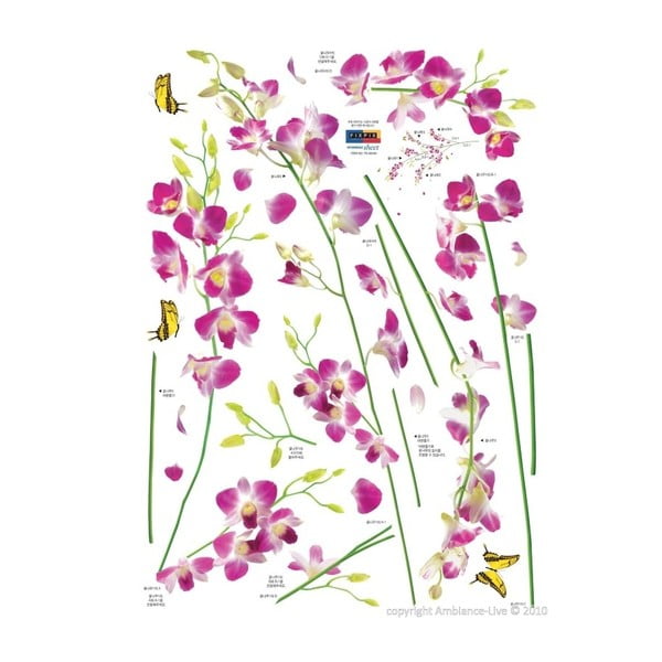 Lipdukas Ambiance Orchidėjos Gėlės-image-2