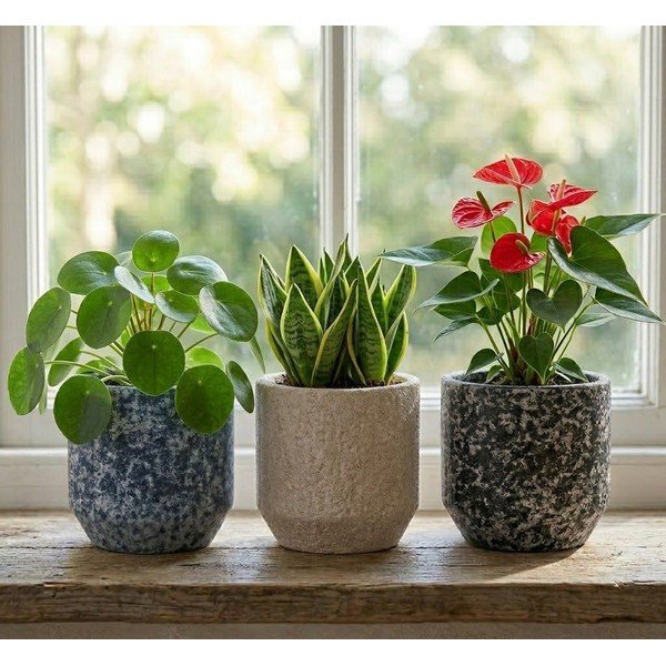 Iš keramikos rankų darbo gėlių vazono dangtelis ø 14 cm Almada – Ego Dekor-image-1