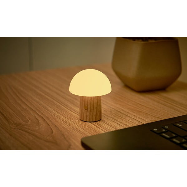 Iš uosio masyvo stalinis šviestuvas natūralios spalvos LED su pritemdymo funkcija (aukštis 7 cm) Alice – Gingko-image-3