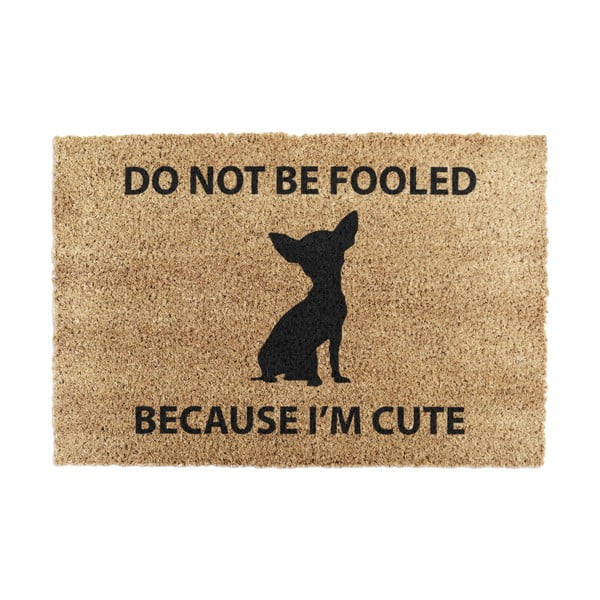 Iš kokoso pluošto grindų kilimėlis 40x60 cm Chihuahua – Artsy Doormats