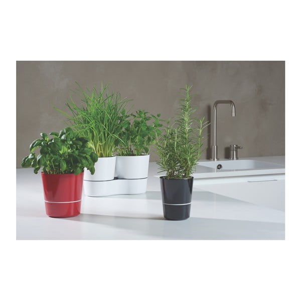 Pilkas žolelių vazonas Mepal Hydro Herbs-image-3