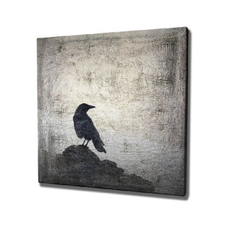 Paveikslas ant drobės Black Bird, 45 x 45 cm