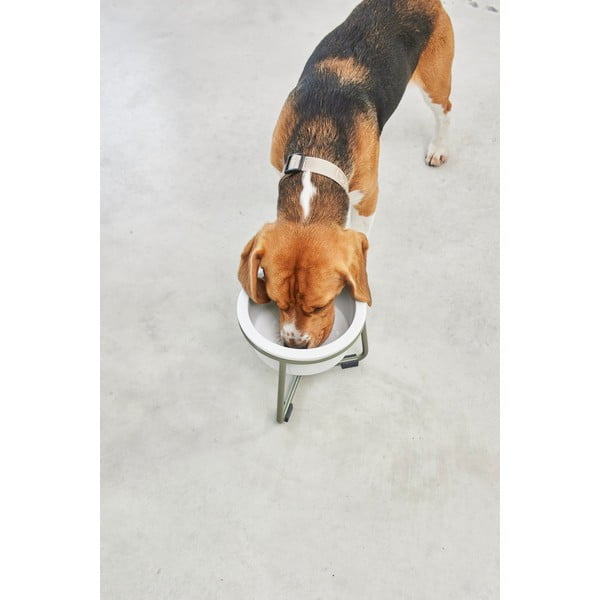 Iš porceliano dubuo su pagrindu šuniui ø 20 cm Pranzo Grolive M – MiaCara-image-4