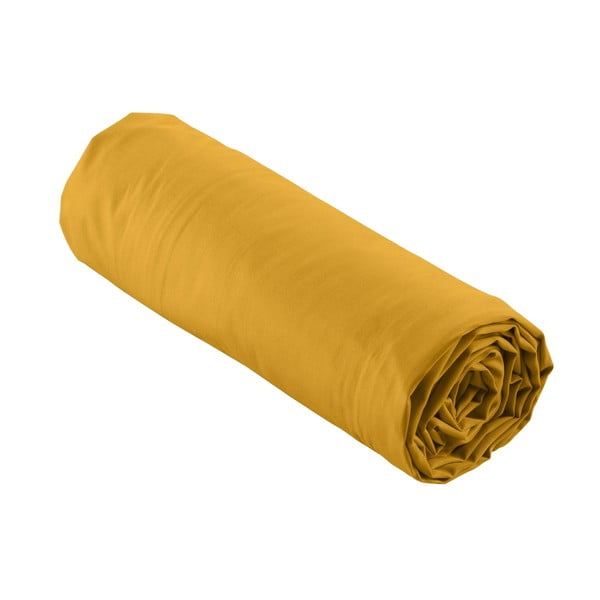 Paklodė iš medvilninio perkelio geltonos spalvos su guma 180x200 cm Percaline – douceur d'intérieur-image-4