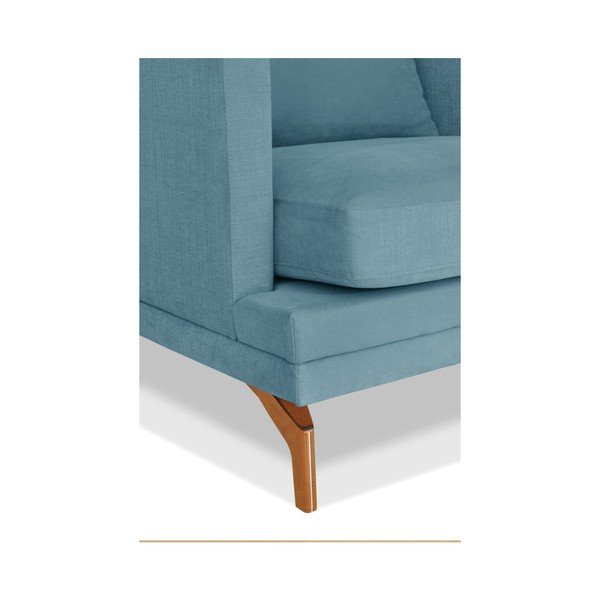 Turkio spalvos dvivietė sofa "Windsor & Co. Sofos Jupiter-image-4