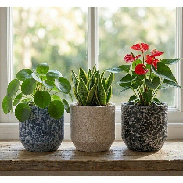 Iš keramikos rankų darbo gėlių vazono dangtelis ø 14 cm Almada – Ego Dekor-image-1