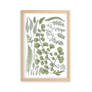 Paveikslas su pušies medžio rėmu Surdic Leafes Collection, 50 x 70 cm